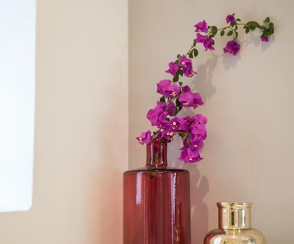 Elia Portou Due Χανιά