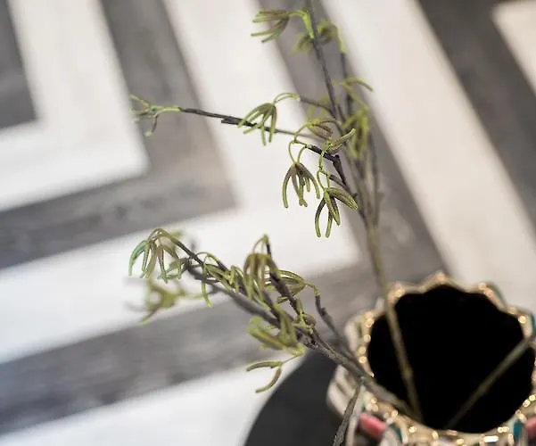 Ξενοδοχείο Elia Portou Due